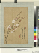 清恽寿平画花卉　册　杏花,绘画,花草