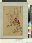 清恽寿平画花卉　册　寒檐二友图,绘画,花草