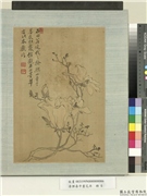 清恽寿平画花卉　册　木兰,绘画,花草