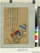 清恽寿平画花卉　册　石竹牵牛花,绘画,花草