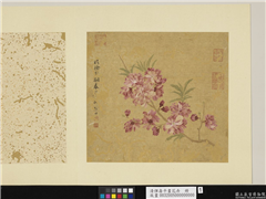清恽寿平画花卉　册　临徐崇嗣春风图,绘画,花草