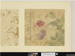清恽寿平画花卉　册　罂粟,绘画,花草