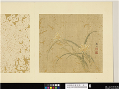 清恽寿平画花卉　册　萱花,绘画,花草