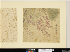 清恽寿平画花卉　册　紫藤,绘画,花草,树木