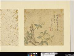 清恽寿平画花卉　册　桂花,绘画,花草