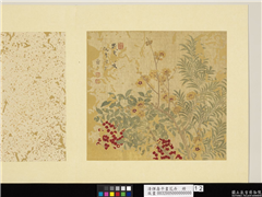清恽寿平画花卉　册　岁寒三友,绘画,树木,花草