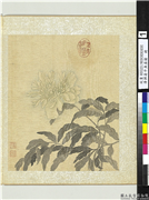 清恽寿平鱼藻图　册　牡丹,绘画,花草