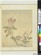 清恽寿平鱼藻图　册　木兰,绘画,花草