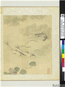 清恽寿平鱼藻图　册　鱼藻,绘画,水中动植物