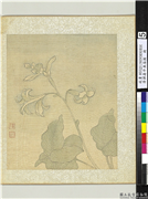 清恽寿平鱼藻图　册　玉簪花,绘画,花草