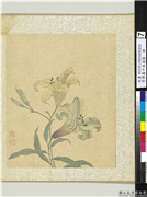清恽寿平鱼藻图　册　百合,绘画,花草