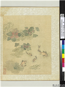 清恽寿平鱼藻图　册　鱼藻,绘画,水中动植物