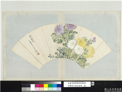 清恽寿平扇面画册　册　菊花,绘画,花草