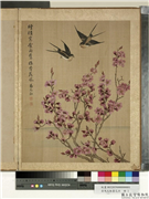 清马元驭画花卉　册　杏花燕子,绘画,花草,翎毛