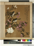 清马元驭画花卉　册　海棠辛夷,绘画,花草,翎毛
