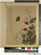 清马元驭画花卉　册　蜂蝶虞美人,绘画,花草,草虫