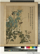 清马元驭画花卉　册　月季竹鸟,绘画,花草,树木,翎毛