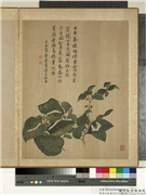 清马元驭画花卉　册　桑椹蚕蛾,绘画,花草,草虫