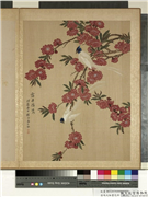 清马元驭画花卉　册　碧桃寿带,绘画,花草,翎毛