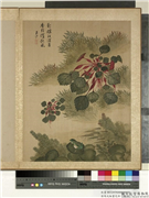 清马元驭画花卉　册　菱角青蛙,绘画,果蔬,水中动植物,花草