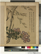 清马元驭画花卉　册　杨柳紫薇,绘画,树木,花草,草虫