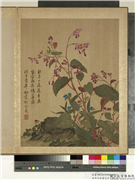 清马元驭画花卉　册　海棠螳螂,绘画,花草,草虫,其他