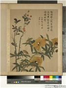 清马元驭画花卉　册　秋葵螽斯,绘画,花草,草虫