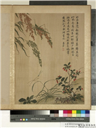 清马元驭画花卉　册　枸杞蝗虫,绘画,花草,五谷,草虫