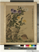 清马元驭画花卉　册　菊花鹌鹑,绘画,花草,翎毛,山水
