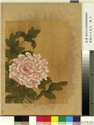 清邹元斗花卉　册　牡丹,绘画,花草