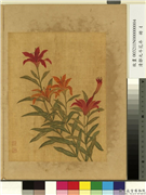 清邹元斗花卉　册　姬百合,绘画,花草