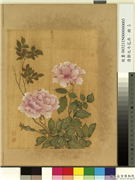 清邹元斗花卉　册　月季,绘画,花草