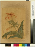 清邹元斗花卉　册　萱花,绘画,花草