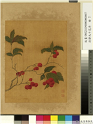 清邹元斗花卉　册　樱桃,绘画,果蔬