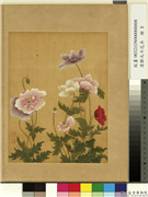 清邹元斗花卉　册　虞美人,绘画,花草