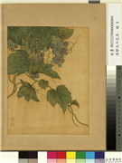 清邹元斗花卉　册　葡萄,绘画,果蔬