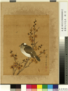 清邹元斗花卉　册　蜡梅,绘画,花草,翎毛