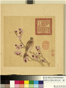 清邹元斗画四季花卉　册　杏花,绘画,花草,翎毛