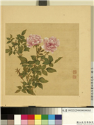 清邹元斗画四季花卉　册　月季玫瑰,绘画,花草