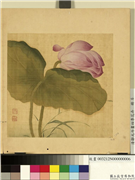 清邹元斗画四季花卉　册　莲荷,绘画,花草