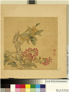 清邹元斗画四季花卉　册　桂花紫薇,绘画,花草