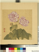 清邹元斗画四季花卉　册　芙蓉,绘画,花草