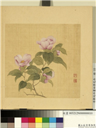 清邹元斗画四季花卉　册　茶花,绘画,花草