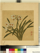 清邹元斗画四季花卉　册　水仙,绘画,花草