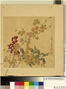 清邹元斗画四季花卉　册　蜡梅,绘画,花草