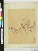 清杨晋画花鸟　册　杏花黄脰,绘画,花草,翎毛