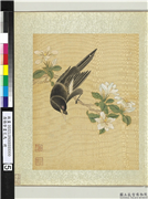 清杨晋画花鸟　册　栀子花鸜鹆,绘画,花草,翎毛