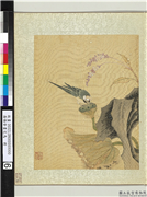 清杨晋画花鸟　册　莲房鶺鴒,绘画,花草,山水