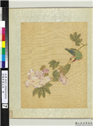 清杨晋画花鸟　册　芙蓉鱼虎,绘画,花草,翎毛