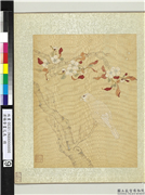 清杨晋画花鸟　册　梨花白雀,绘画,翎毛,花草